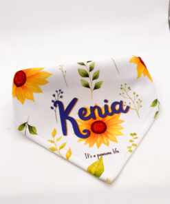 Bandana