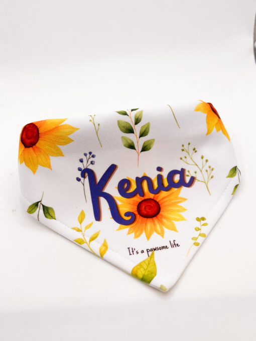 Bandana